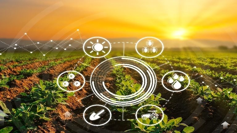 Soil Testing and Analysis Laboratory